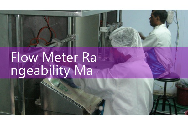 Flow Meter Rangeability Matrix: Comparing Turndown Ratios Across Various Metering Technologies